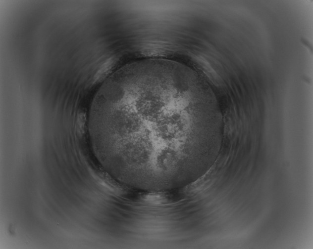 X0000093130171200709261356