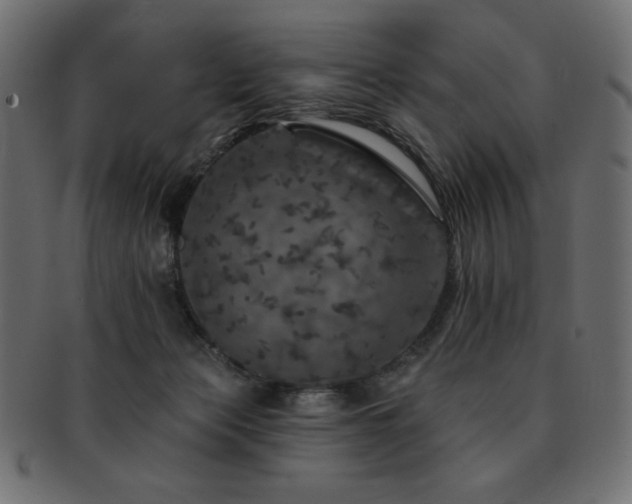 X0000093130173200709261356