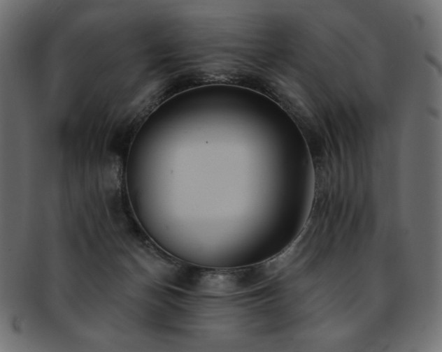 X0000093130174200709261356