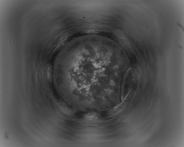 X0000093130175200709261356