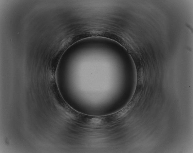 X0000093130176200709261356