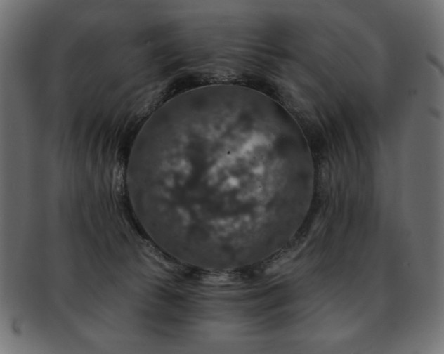 X0000093130177200709261356