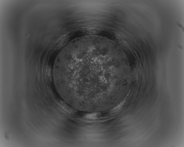 X0000093130178200709261356