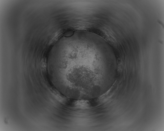 X0000093130179200709261356