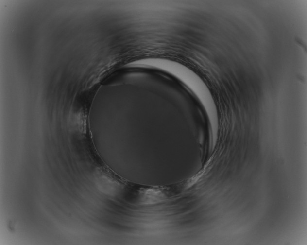 X0000093130180200709261356