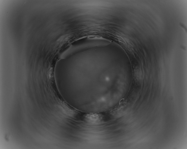 X0000093130181200709261356