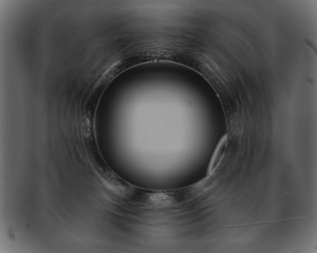 X0000093130183200709261356