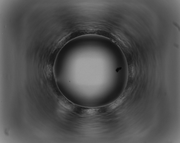 X0000093130184200709261356