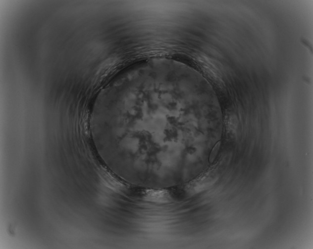 X0000093130185200709261356