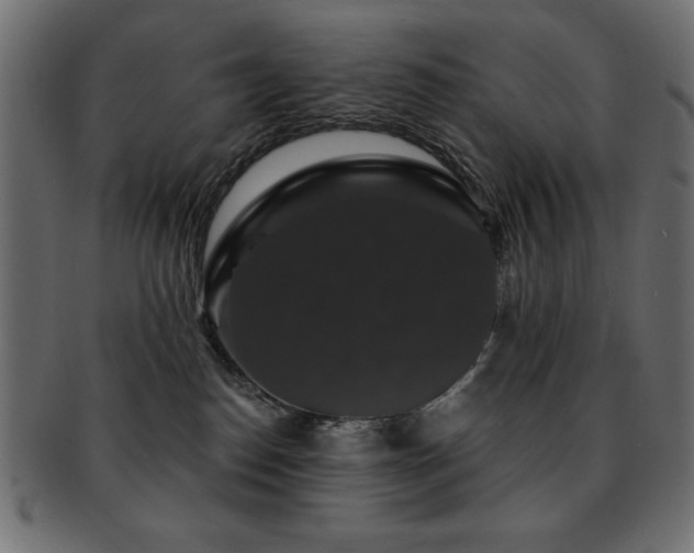 X0000093130186200709261356