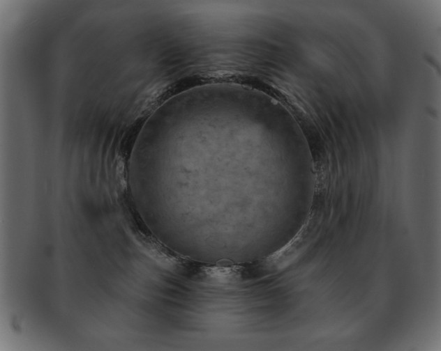 X0000093130187200709261356