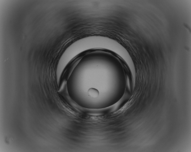 X0000093130188200709261356