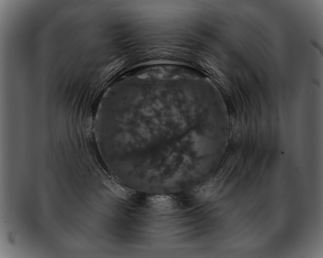 X0000093130189200709261356