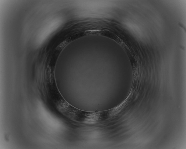 X0000093130191200709261356