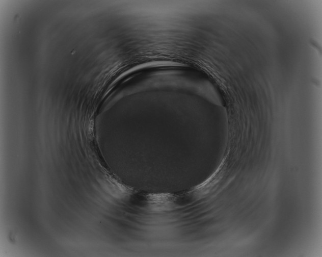 X0000093130192200709261356