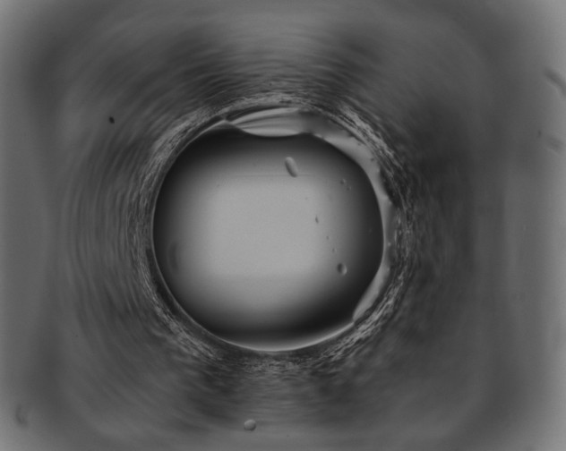 X0000093130193200709261355