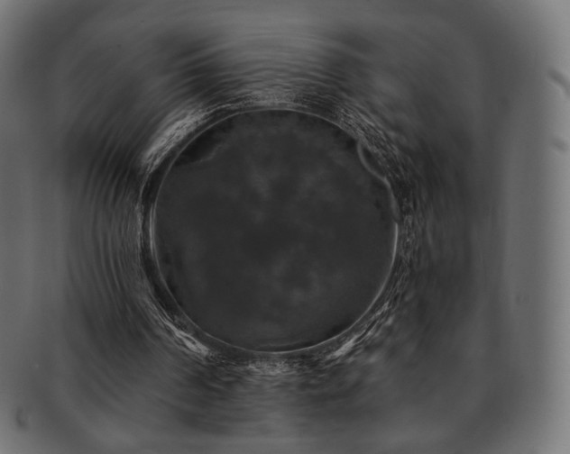 X0000093130194200709261355