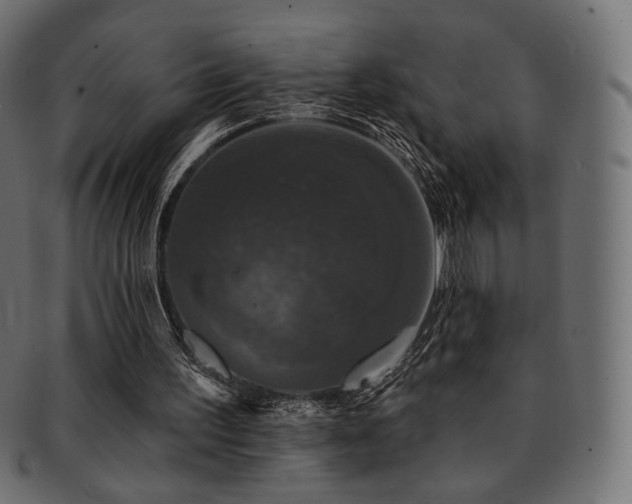 X0000093130195200709261355