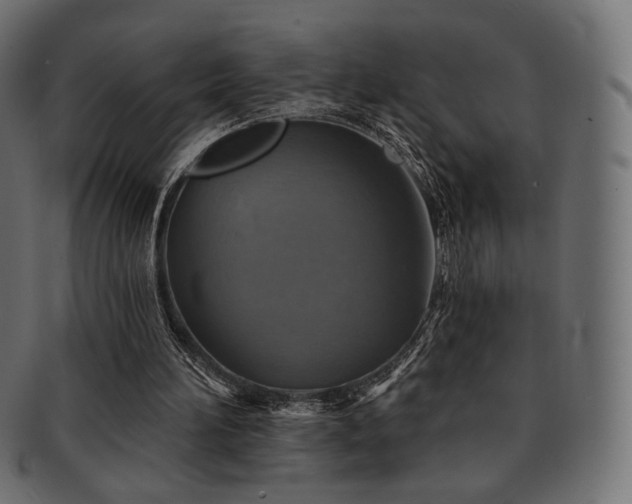 X0000093130196200709261355