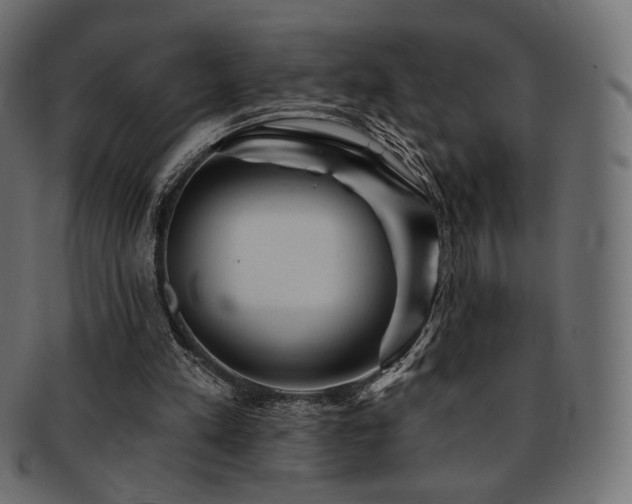 X0000093130197200709261355