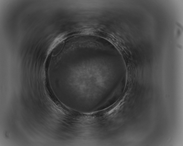 X0000093130198200709261355