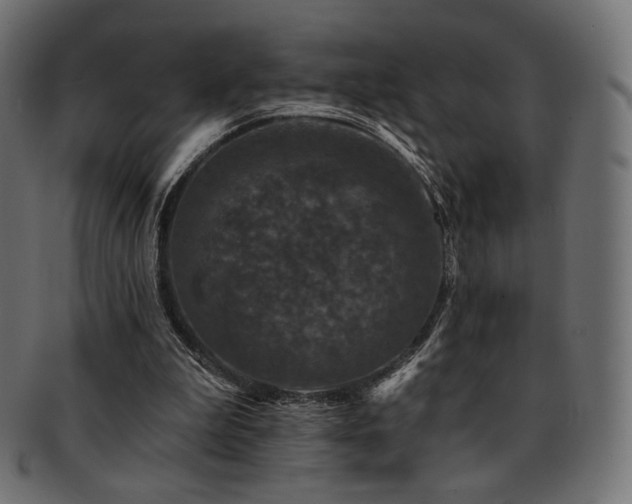 X0000093130199200709261355