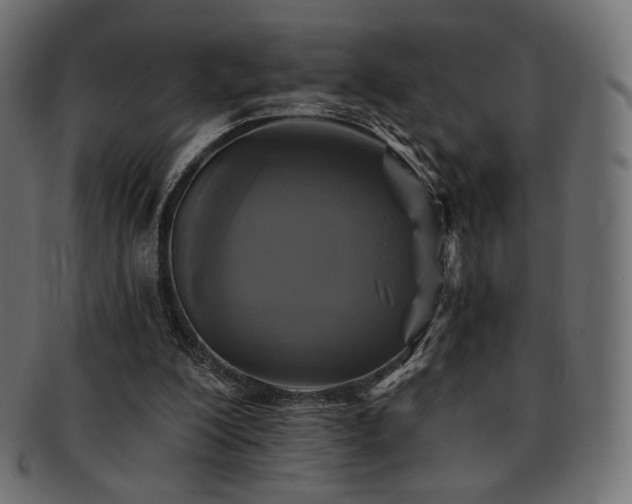 X0000093130200200709261355