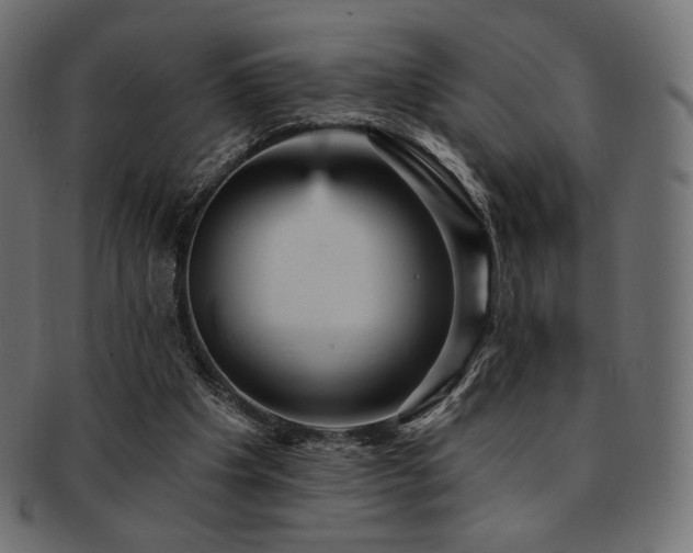 X0000093130201200709261355