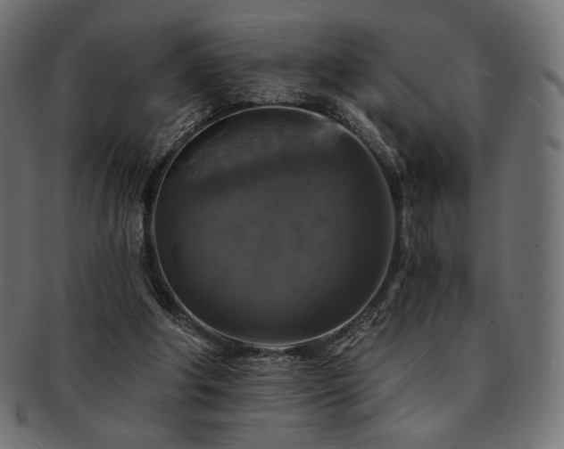 X0000093130202200709261355
