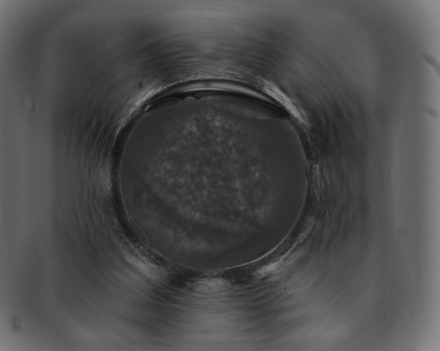 X0000093130203200709261355