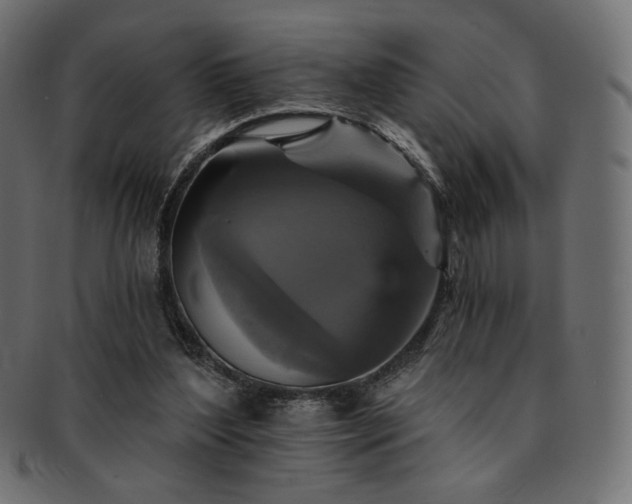 X0000093130204200709261355