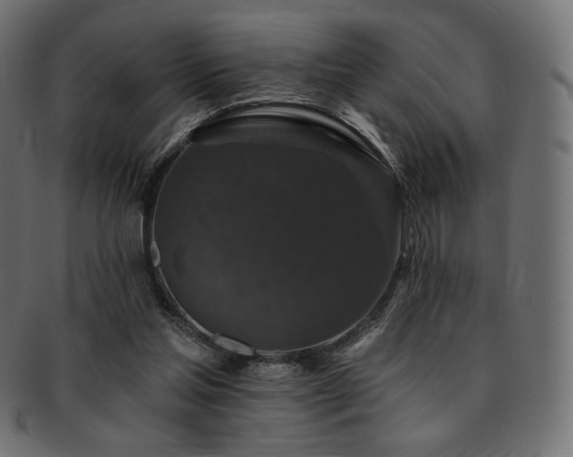 X0000093130205200709261355