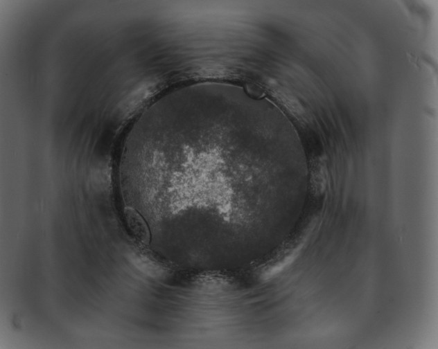 X0000093130207200709261355