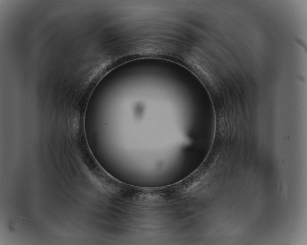 X0000093130208200709261355