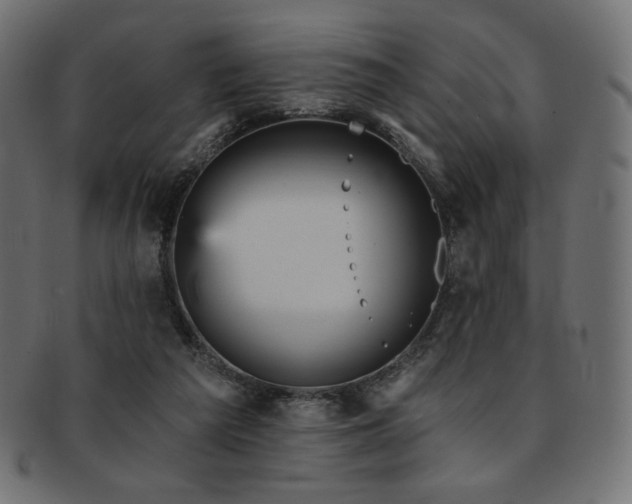 X0000093130209200709261355