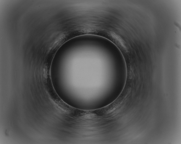 X0000093130210200709261355
