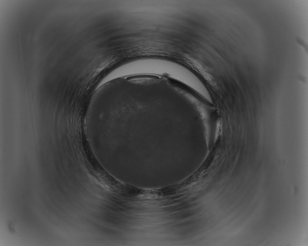 X0000093130211200709261355