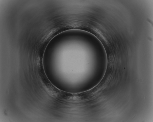 X0000093130212200709261355