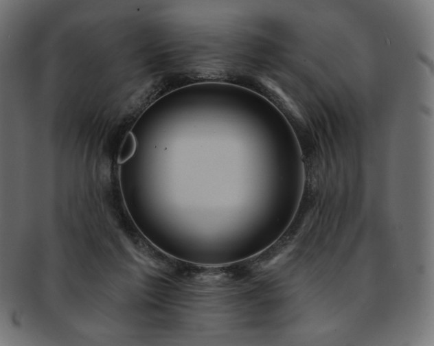X0000093130213200709261355