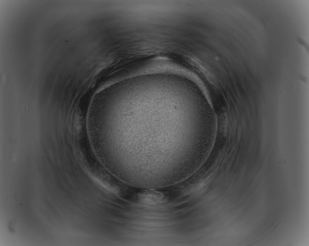 X0000093130215200709261355