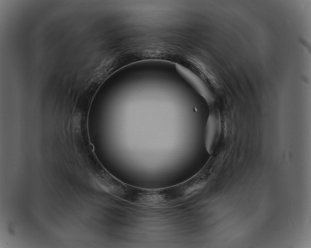 X0000093130217200709261355
