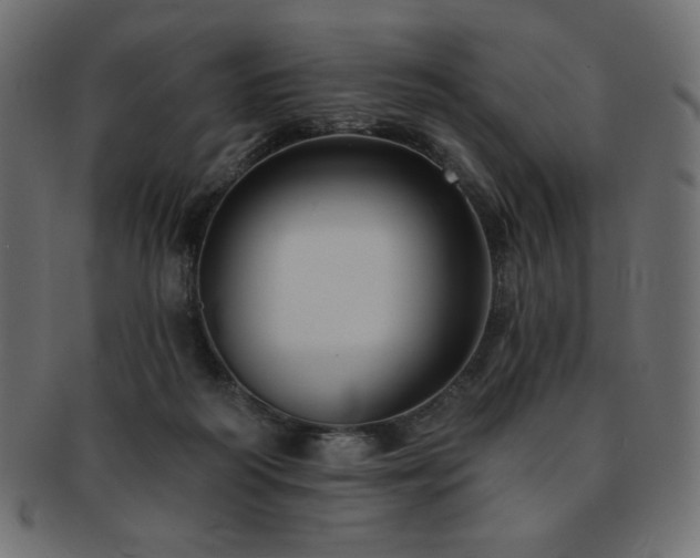 X0000093130218200709261355