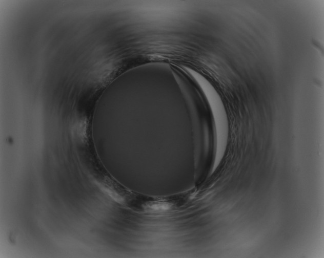 X0000093130219200709261355