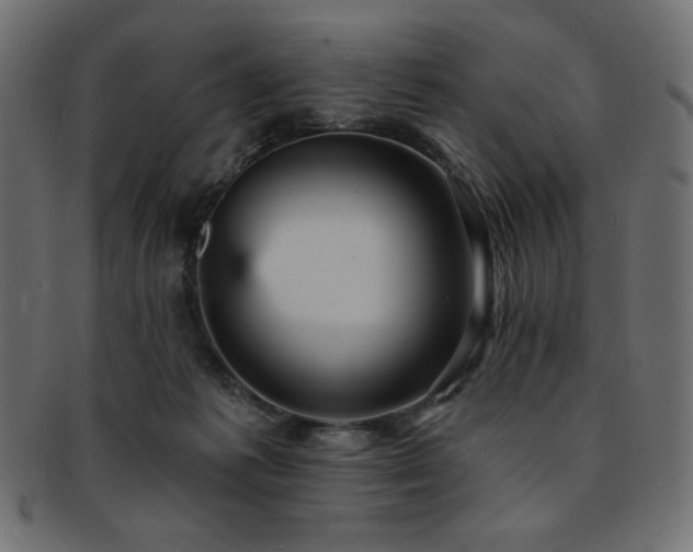 X0000093130221200709261355