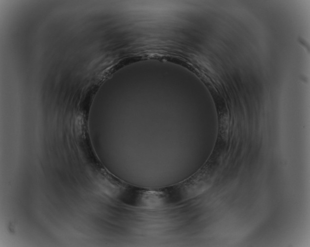 X0000093130222200709261355
