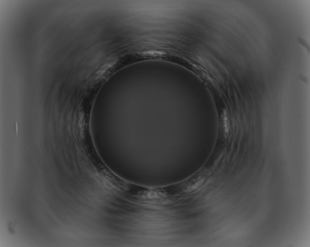 X0000093130223200709261355