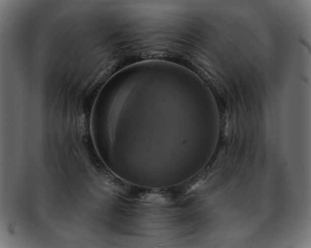 X0000093130224200709261355