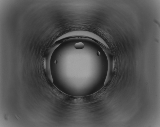 X0000093130225200709261355