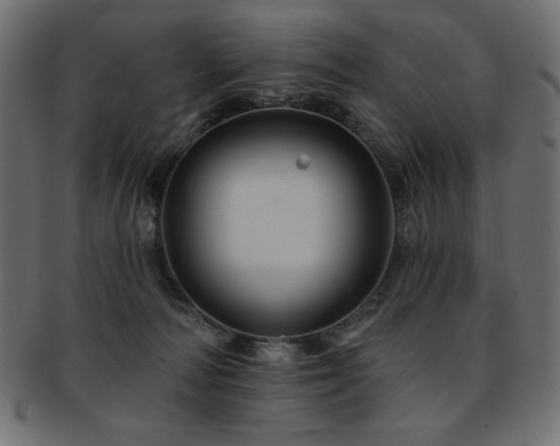 X0000093130226200709261355