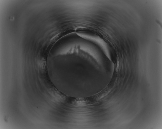 X0000093130228200709261355